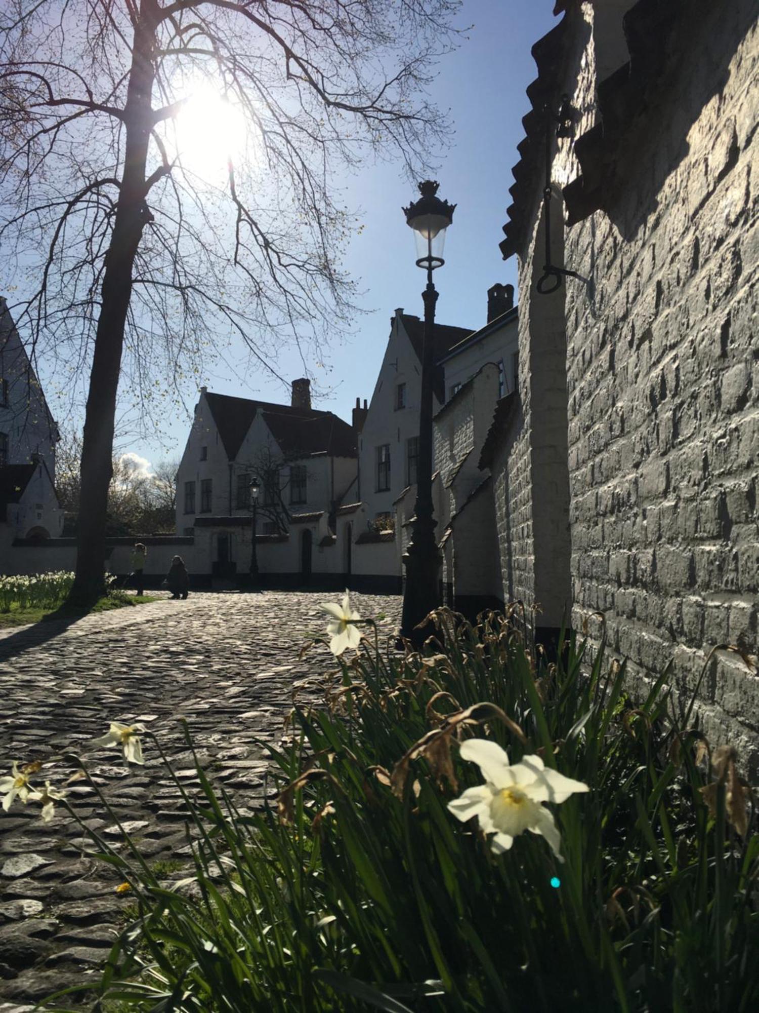 Royal Swans Bed & Breakfast Bruges