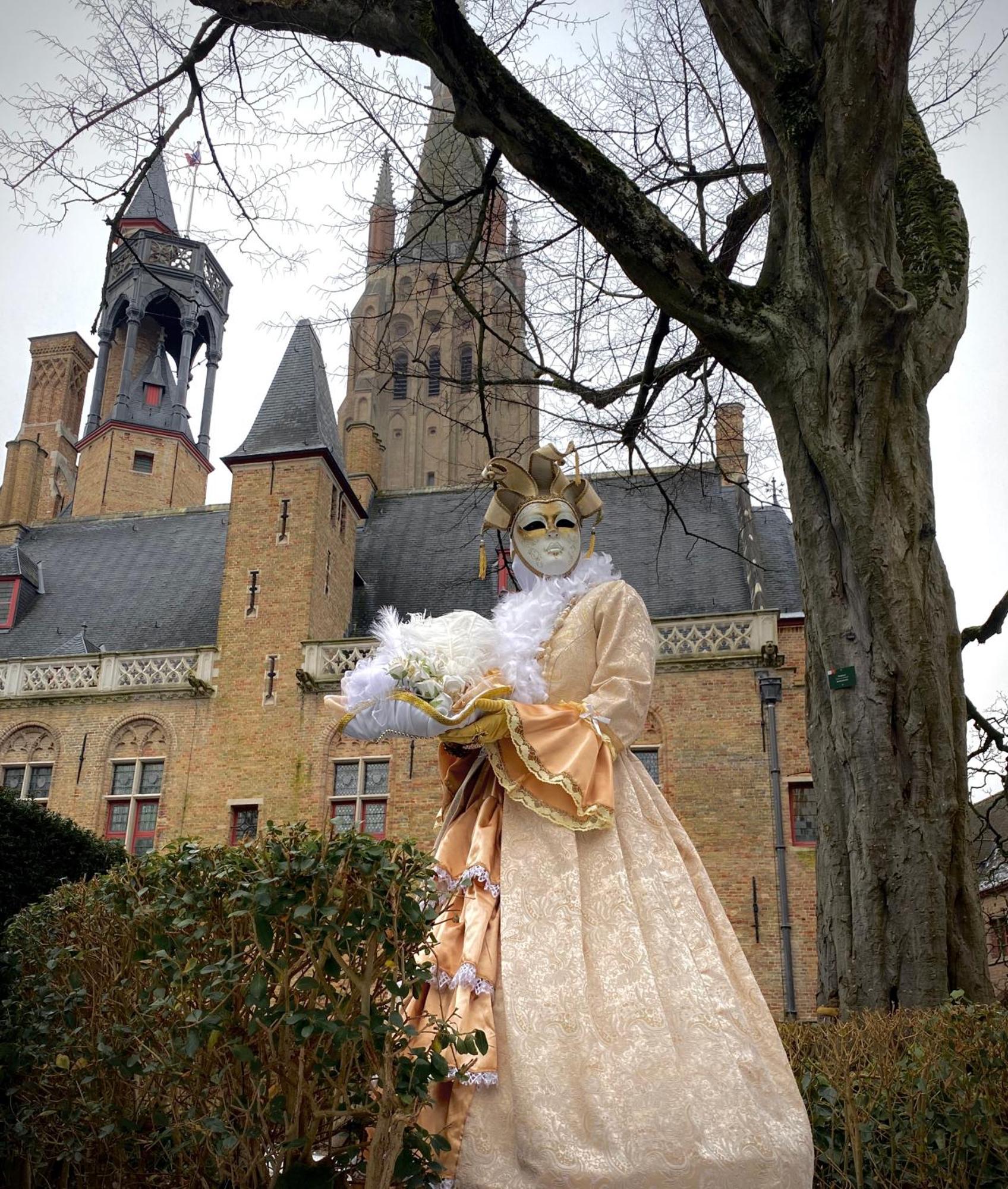 Royal Swans Bruges