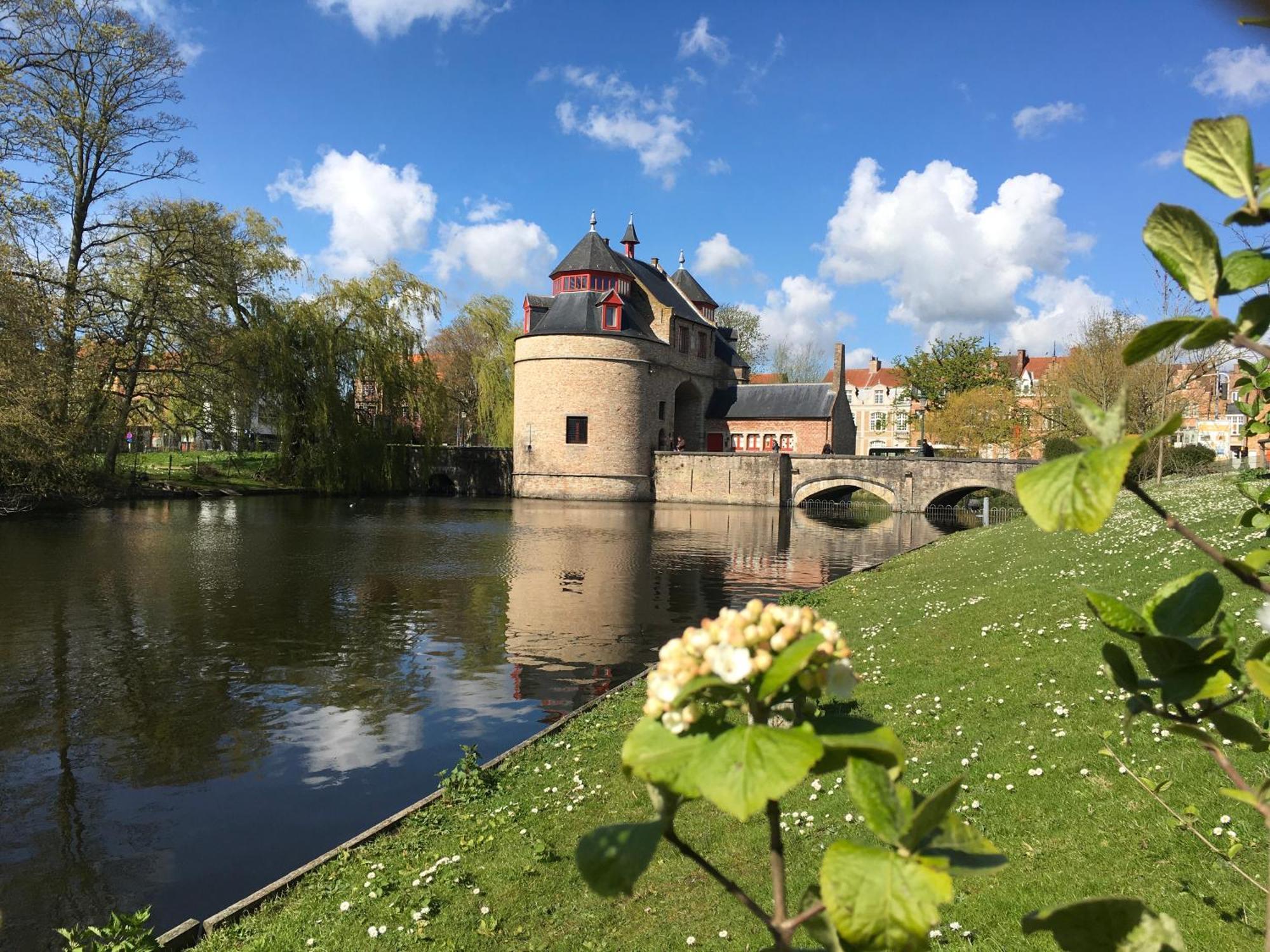 Royal Swans Bed & Breakfast Bruges