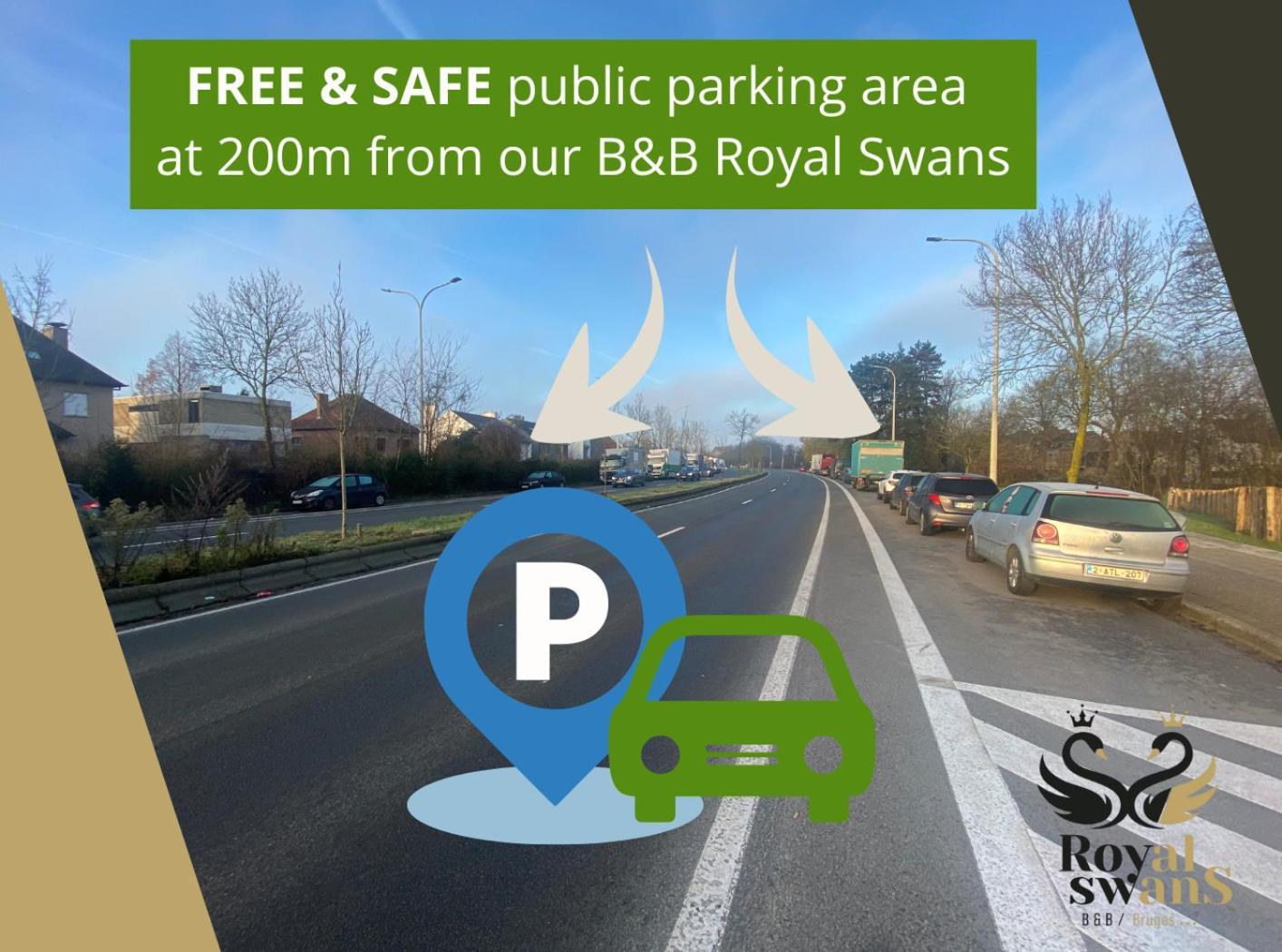 Royal Swans Bruges